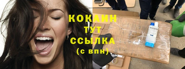 дмт Аркадак