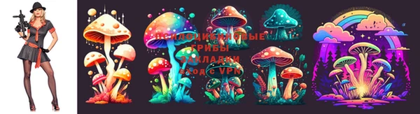 спайс Алексеевка