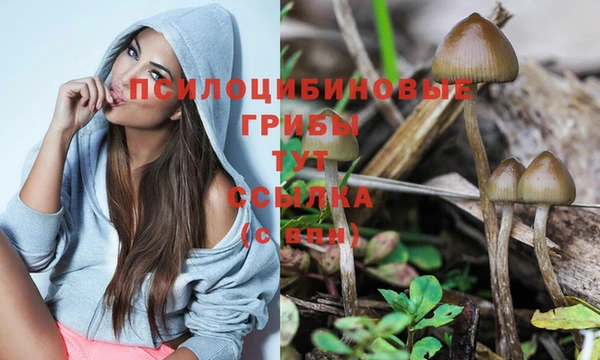 спайс Алексеевка