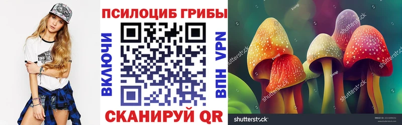 Псилоцибиновые грибы Psilocybine cubensis  как найти закладки  Хадыженск 